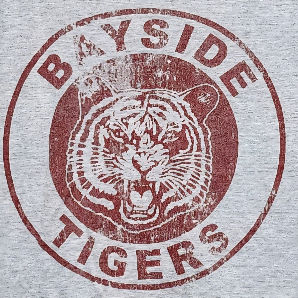 Saved By The Bell Bayside Tigers SHIRT Gray 3XL